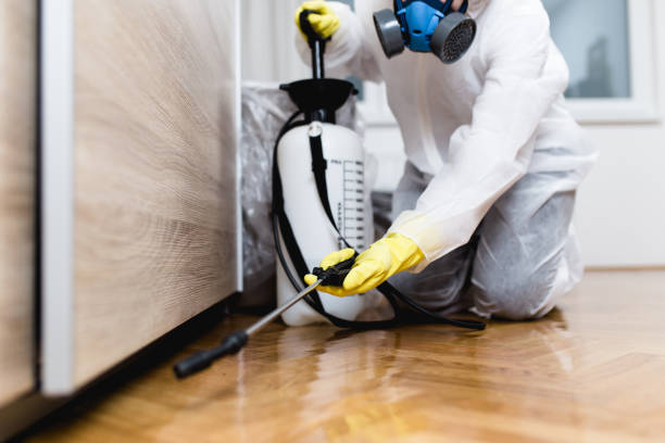 Best Flea Control Services  in Margate City, NJ