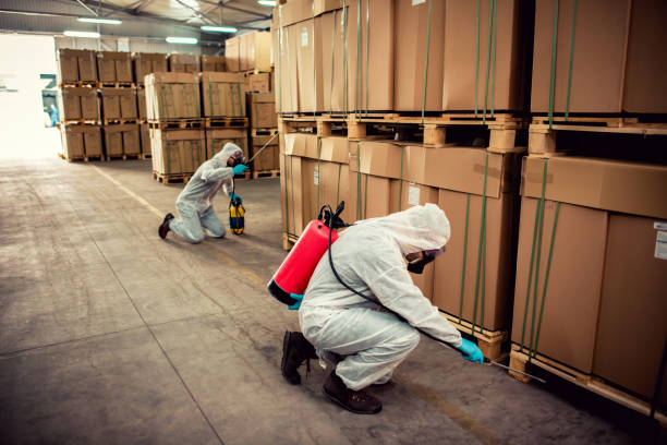 Best Pest Removal Services  in Margate City, NJ
