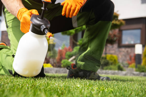 Best Wildlife Control Services  in Margate City, NJ