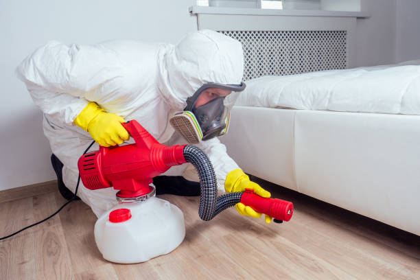 Pest Control for Restaurants in Margate City, NJ
