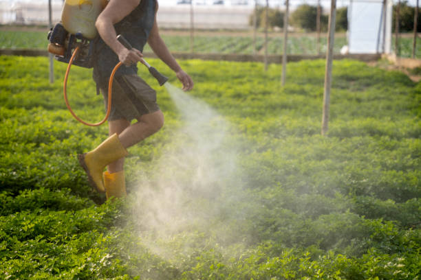 Best Pest Control Near Me  in Margate City, NJ