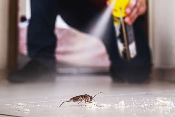 Best Cockroach Control Services  in Margate City, NJ