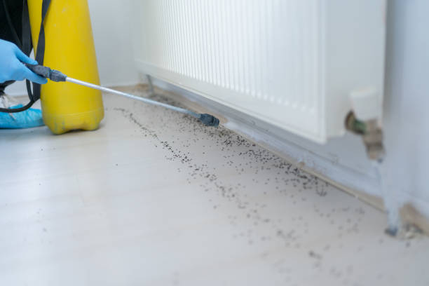Best Commercial Pest Control Services  in Margate City, NJ